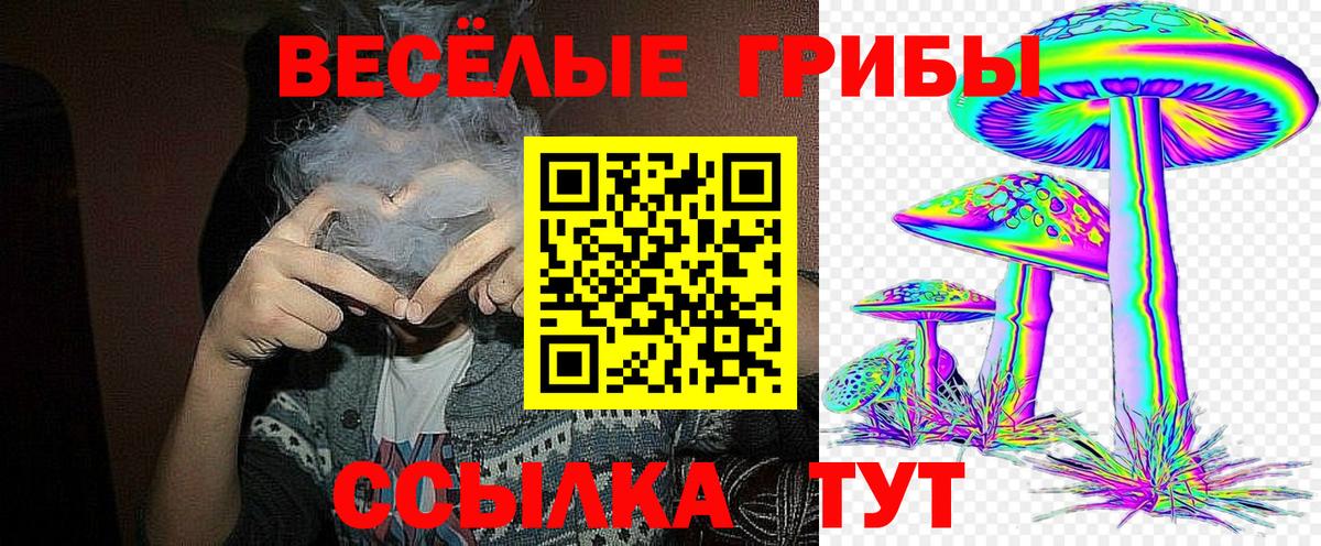 Псилоцибиновые грибы Magic Shrooms Алексеевка