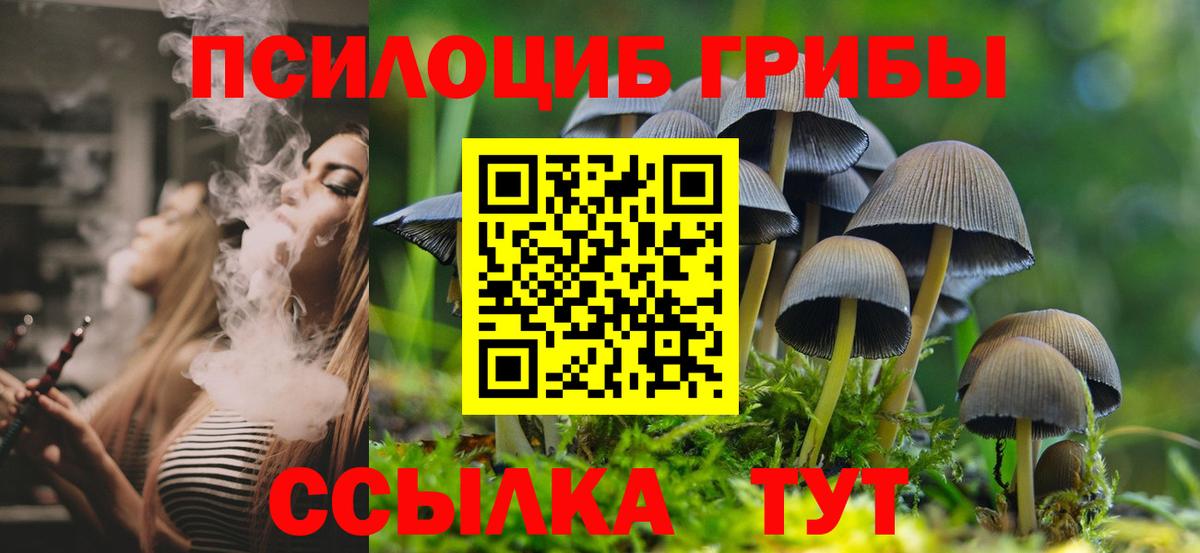 Псилоцибиновые грибы GOLDEN TEACHER  Вход с VPN  Алексеевка 